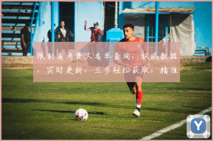 限制高消费人名单查询，权威数据，实时更新，三步轻松获取，精准筛选，合规查询。