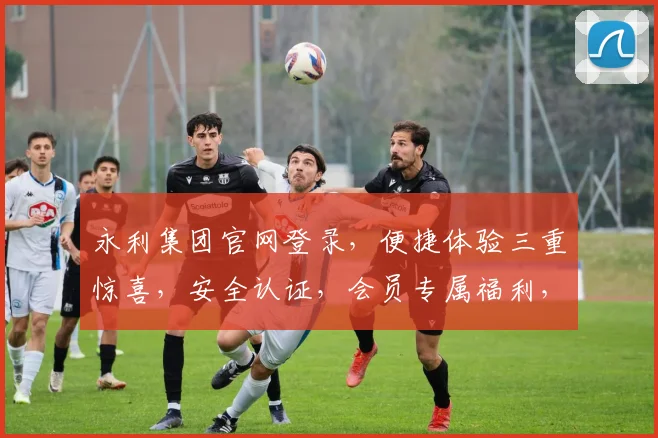 永利集团官网登录，便捷体验三重惊喜，安全认证，会员专属福利，快速通行