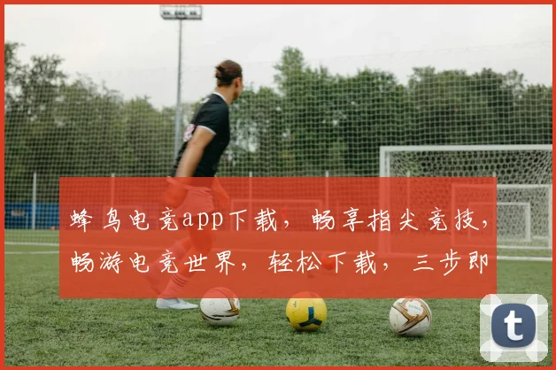 蜂鸟电竞app下载，畅享指尖竞技，畅游电竞世界，轻松下载，三步即可，快来体验