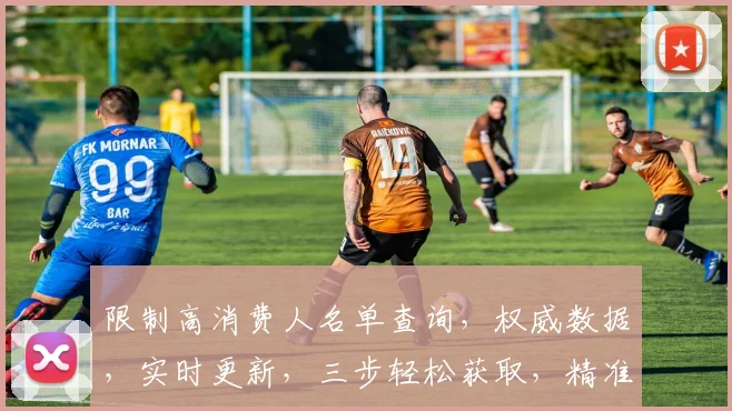 限制高消费人名单查询，权威数据，实时更新，三步轻松获取，精准筛选，合规查询。